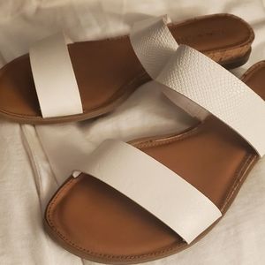 Sun and Stone White slides